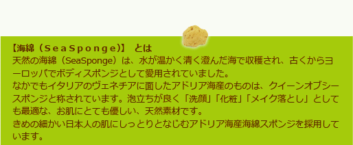 海綿とは