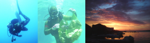 お得なおすすめです